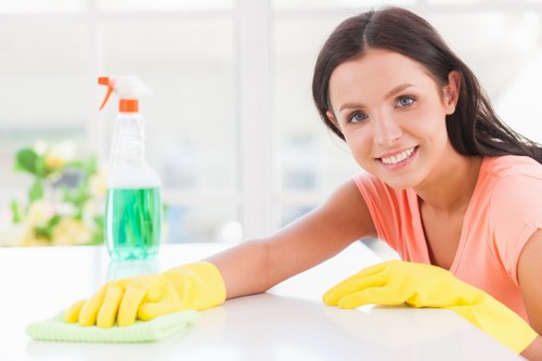 Professional mattress cleaning in a W1 apartment bedroom