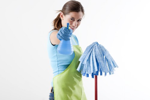 Professional pet stain treatment for a carpet in a W1 home