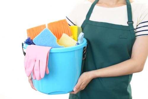 Professional cleaners working in a W1 property interior