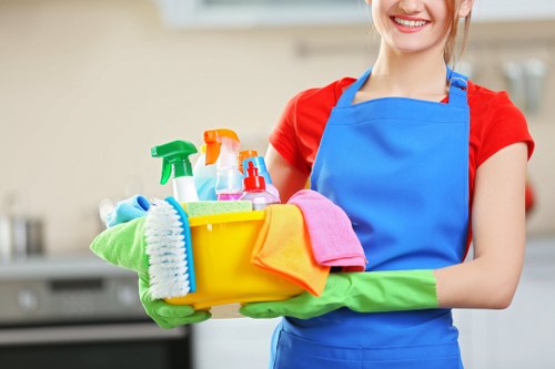 Professional curtain cleaning for a W1 apartment interior