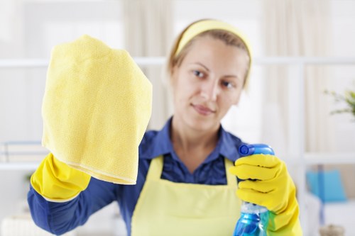 Deep cleaning of a bright W1 residential space