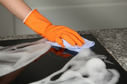 Deep cleaning for pet odour in a W1 apartment