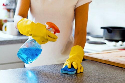 Domestic cleaning service for a central W1 apartment living room