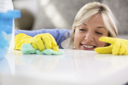 Upholstery cleaning for a fabric sofa in central London