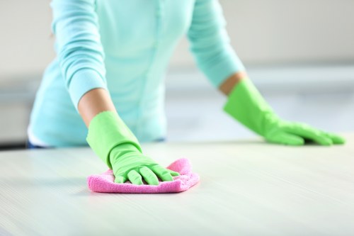 Local cleaners working in a central London flat near Marylebone and Fitzrovia