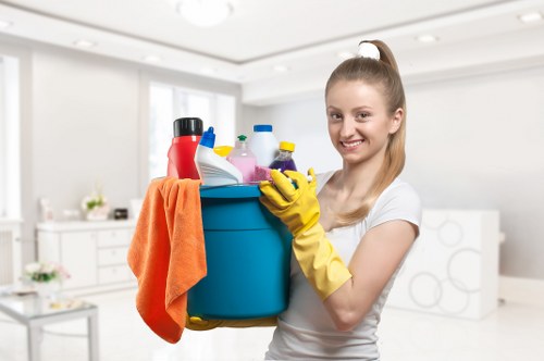 Odour removal service for pet accidents on upholstery