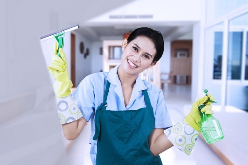 Curtain cleaning for period property window dressings in W1