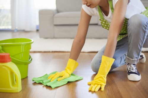 Scheduled domestic and commercial cleaning across W1